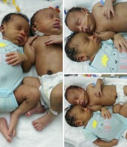 Image of twin babies